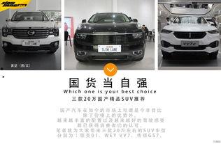 国产精品推荐,匠心独运，品质卓越的国产佳作推荐  第2张