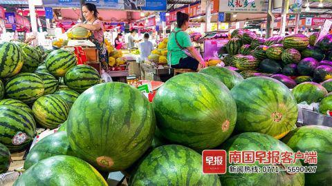 娱乐吃瓜酱广西,揭秘广西娱乐圈的那些事儿